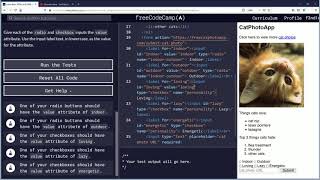 Use the Value Attribute with Radio Butons and Checkboxes | Free Code Camp Org Basic HTML and HTML5