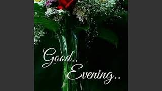 Good evening friends - மாலை வணக்கம்