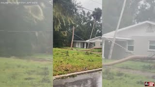 Hurricane Ian Impact | Fallen Tree on powerlines on 4th Street in Palmetto