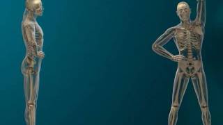 fgb054L_0521_1sh.avi
