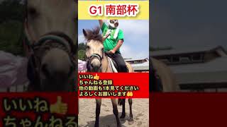 【G1 #南部杯】1番人気想定のあの馬をぶった切り　ティガ次郎　#競馬　予想　#shorts