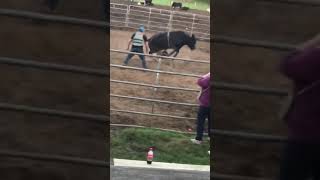 First time bullride fail! Ouch!