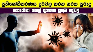 ප්‍රතිශක්තිය දුර්වල කරන නරක පුරුදු 5ක් | Habits That Weaken Your Immunity Sinhala | Prathishakthiya