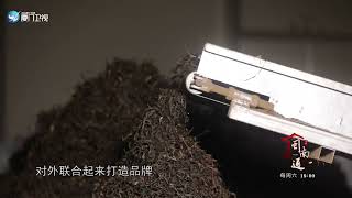 【閩南通】定位精准的年輕化茶葉生態| 廈門衛視閩南通