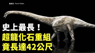 史上最長！超龍化石重組竟長達42公尺 - 恐龍化石修復 - 國際新聞