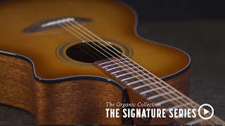 The Breedlove Organic Collection - Signature Series