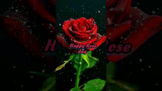 7 February Full screen status | Rose day Full screen status | Rose day whatsapp status | 4k status