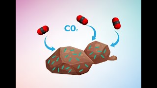 Combatting Climate Change with Microbe-Enhanced Rock Weathering