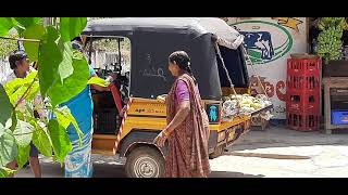 Ulavapadu Mangoes brand ambassador