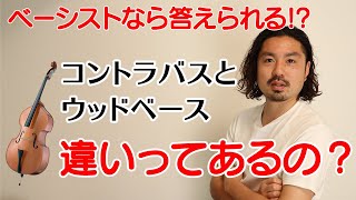 【答えられる!?】コントラバスとウッドベースの違いって？｜ミュージシャンなら知っておきたい音楽雑学