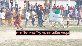 সারারিয়া মাঠে গরুদৌড় খেলা হবে, তারিখ জানতে এই ভিডিওটি দেখুন | SM FOOD