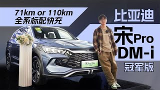 纯电续航71 110km，车长超4米7，比亚迪宋Pro DM i冠军版怎么选？