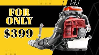 PRORUN PBB2884 BACKPACK LEAF BLOWER REVIEW | Under $399