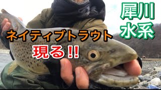 【犀川漁協】本流ネイティブトラウト　2022.4.2