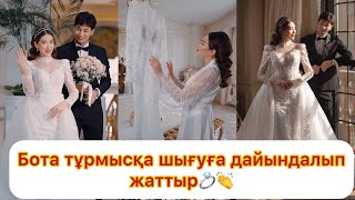 Бота тұрмысқа шығуға дайындықты бастады👏👍