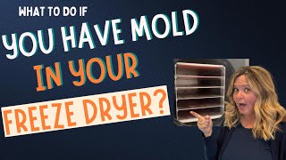 What to do if you have mold in your freeze dryer