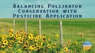 Balancing Pollinator Conservation with Pesticide Application using IPM