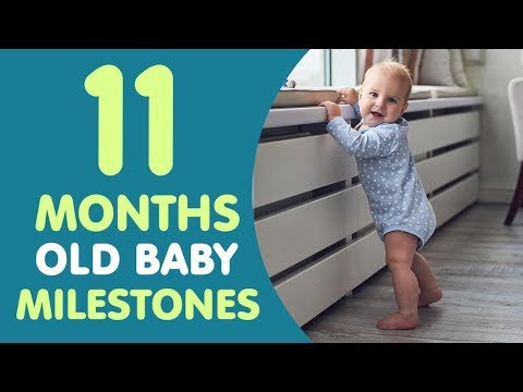 What should my 11 month old be doing?