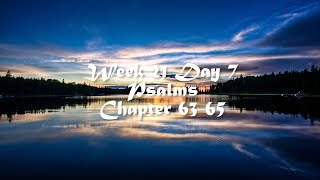 Audio Bible Reading Plan - Week 21 Day 7 (Psalms 63-65)