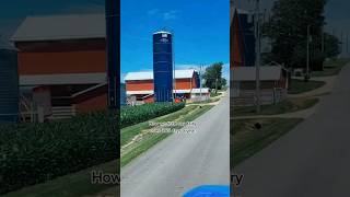 Feeding our dairy cows with our 1974 silo! #farm#farmer#dairy#agriculture#farming#farmlife#cows