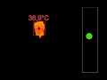 FevIR - High-Precision automatic fever screening system - Measurement distance: 2 meters