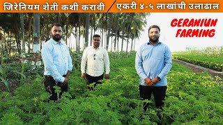 जिरेनियम शेती कशी करावी | Geranium farming | एकरी ४-५ लाखांची उलाढाल #geraniumfarming #geranium