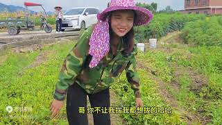 小七秒变女汉子，开起三轮神车来地里拔花生，感受农村丰收的喜悦