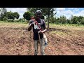 best maize planting after germination fertilizer and how to apply it.