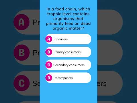 What are organisms that get energy by breaking down dead organisms called?