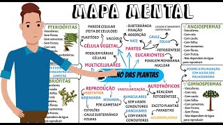 MAPA MENTAL  - PLANTAS