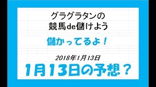 グラグラタンの競馬予想？！　１月１３日（土）分