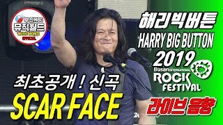 190727 해리빅버튼  Scar face [ 라이브 2019부산국제록페스티벌 ]