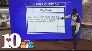 Does cold weather kill bugs?