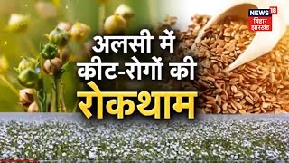 Annadata: अलसी में किट-रोगों की ऐसे करें रोकथाम | Farming in India | Agriculture | Latest Hindi News