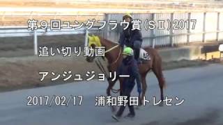 第９回ユングフラウ賞(SⅡ) 2017  追い切り動画　アンジュジョリー　2017/02/17　浦和野田トレセン