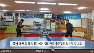 [로얄탁구클럽] 60대 아재 오랜만에 똑딱똑딱🏓 | #주니안주니