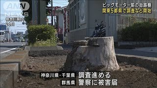 ビッグモーター店舗前で街路樹枯れる　関東5都県で調査など開始(2023年7月27日)