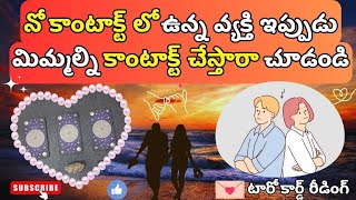 |💌 Pick a card| నో కాంటాక్ట్ లో ఉన్న వ్యక్తి ఇప్పుడు మిమ్మల్ని కాంటాక్ట్ చేస్తారా చూడండి 🤔☮️💟🫂🍀🦋💫🌌