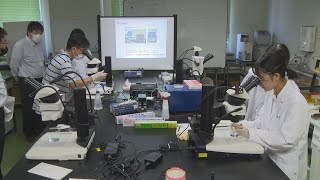 群馬大学サマーオープンラボ　高校生が生命医科学研究室の現場に触れる　群馬・前橋市 (24/08/20)