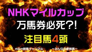 NHKマイルカップ2023　注目馬4頭紹介　競馬予想