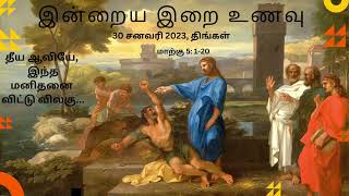 தீய ஆவியே, இந்த மனிதரை விட்டுப் போ | மாற்கு 5:1-12 | பொதுக்காலம் நான்காம் வாரம் | திங்கள்கிழமை