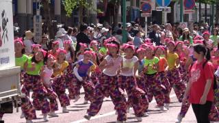 Rie Dancing Team＠2017　湘南よさこい