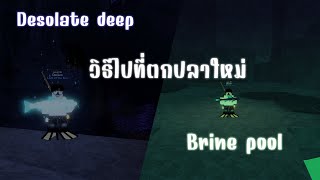 วิธีไปที่ตกปลาใหม่ Desolate deep และ Brine pool | Roblox Fisch [🤿]