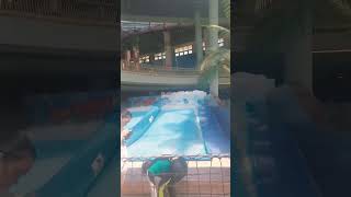 海洋公園水上樂園|室內衝浪好刺激|Water World Ocean Park|Exciting Indoor Surfing 🏄‍♂️ #shorts #滑板 @KarLiving