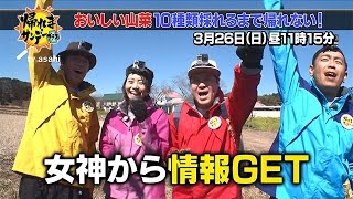 【帰れまサンデープラス】2017年3月26日(日) 放送