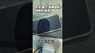 🚌⚡️🐶🍯  한국 버스 정류장이 대박인 이유