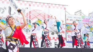 [4K]京都山城みつば家　かしばよさこい祭2017(中央)