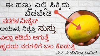 ಈ ಹಣ್ಣು ಮನೆಮಂದಿಗೆಲ್ಲ ಟಾನಿಕ್|ಸುಸ್ತು|ಆಯಸ ನರಗಳ ವೀಕ್ನೆಸ್ ಎಲ್ಲಾ ಕಡಿಮೆ ಆಗುತ್ತೆ|ಹಾರ್ಡ್ ನರಸ್ಟ್ರಾಂಗ್ ಮಾಡುತ್ತೆ