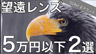 【コスパ最強】A7IV A7III 動画用Eマウント望遠レンズ徹底比較！Tamron vs Sony あなたはどっち派！？