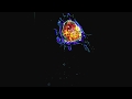 Apoptosis (Programmed Cell Death) - Live and in 3D
